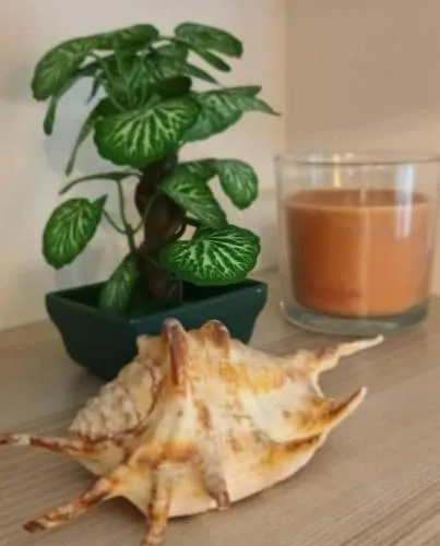 Apartment Old Town Prie Vijuneles Ezero Druskininkai