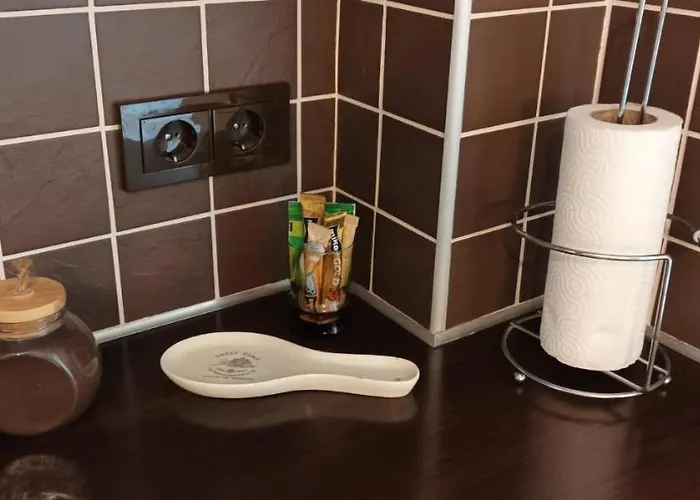 Old Town Prie Vijuneles Ezero Apartment Druskininkai